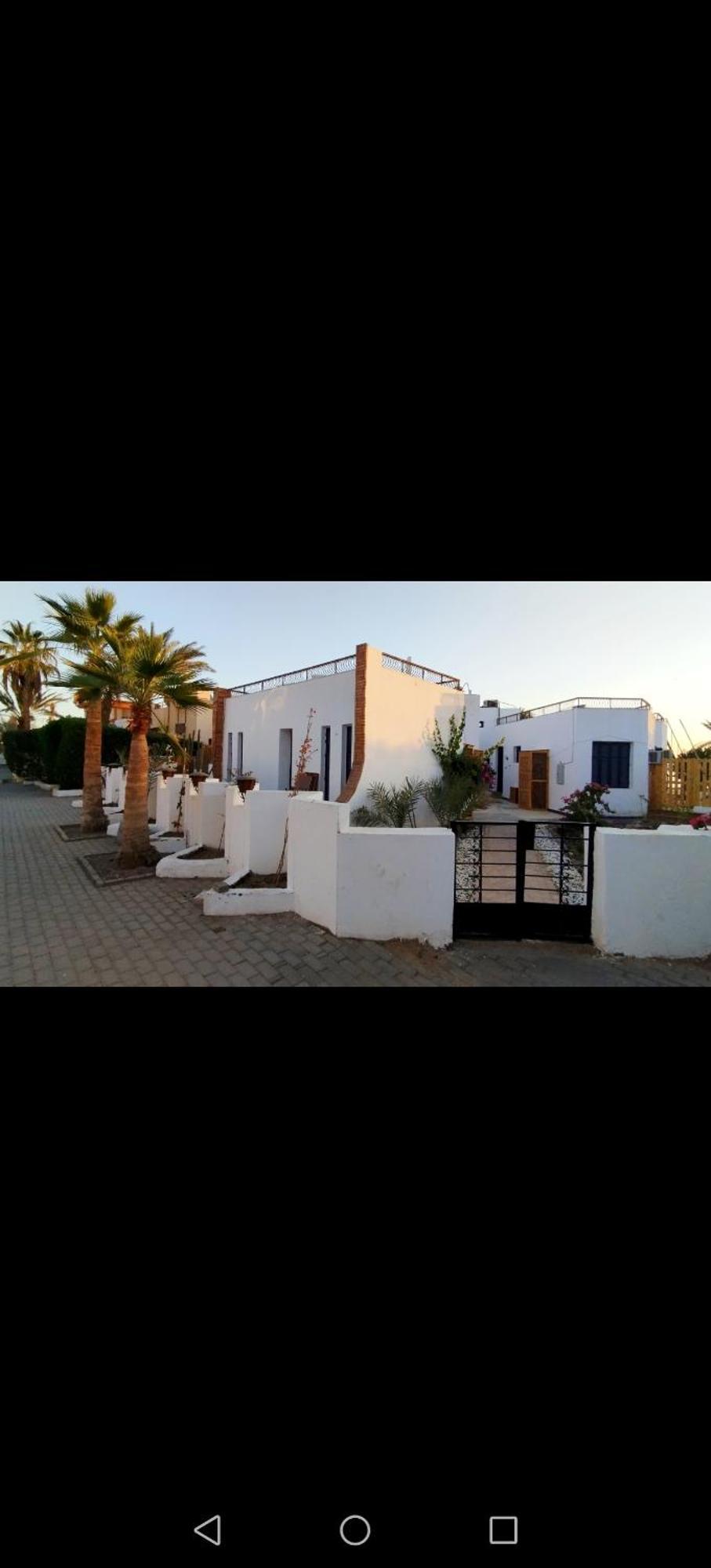 Abouseif Guest House Шарм-эль-Шейх Номер фото